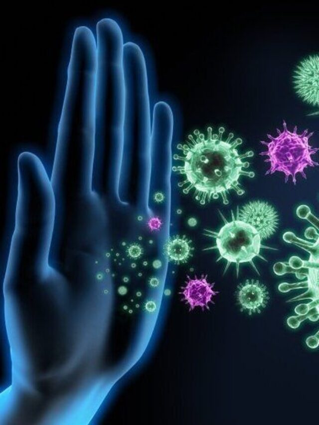 10 Foods That Supercharge Your Immunity